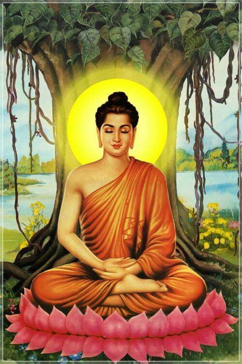 The Role of Suffering in Buddhist Philosophy